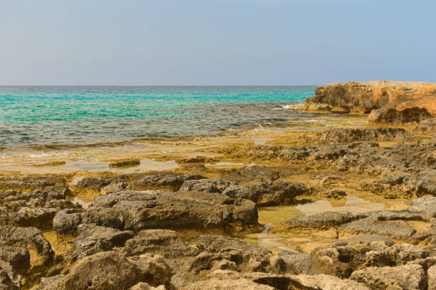 istock rocky seashore with turquoise water and blue sky 1003488858
