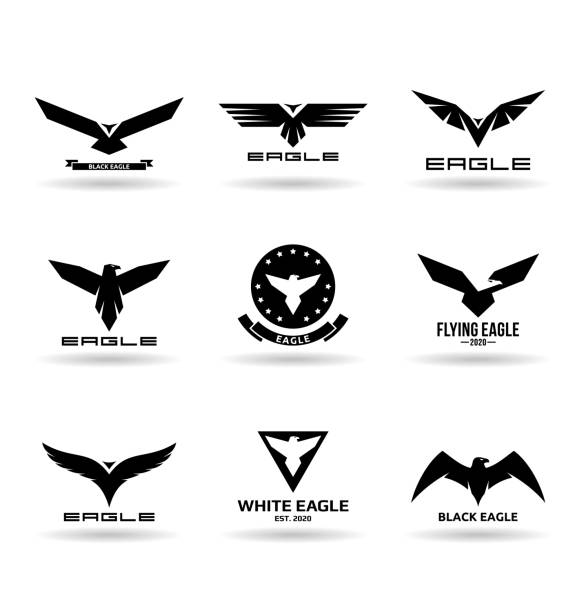 110+ Peregrine Falcon Wing Illustrations, Royalty-Free Vector Graphics ...