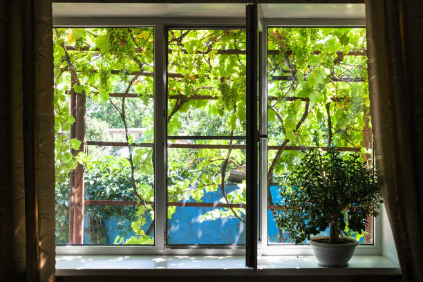 istock window in cottage with house plant 1003489686