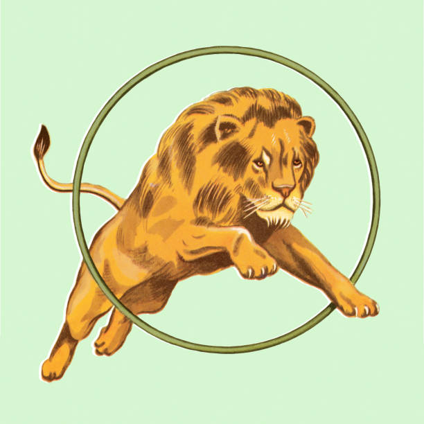 illustrazioni stock, clip art, cartoni animati e icone di tendenza di leone che salta attraverso il cerchio - circus lion