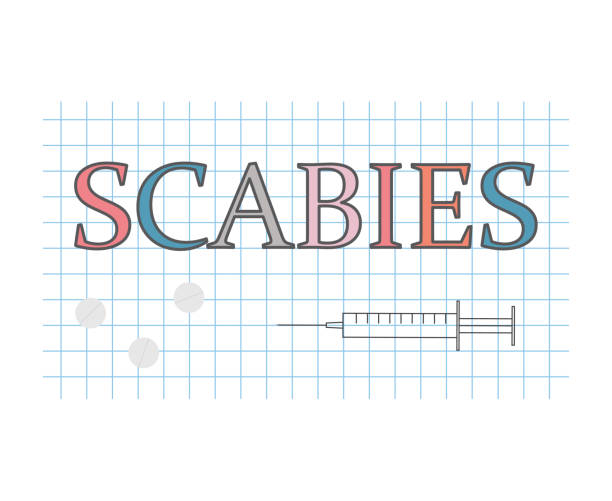 Scabies word on checkered paper sheet Scabies word on checkered paper sheet- vector illustration sarcoptes scabiei stock illustrations