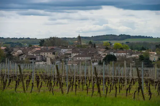 Bordeaux Vineyard, France, Aquitaine, Gironde, 33, Monsegur, Europe