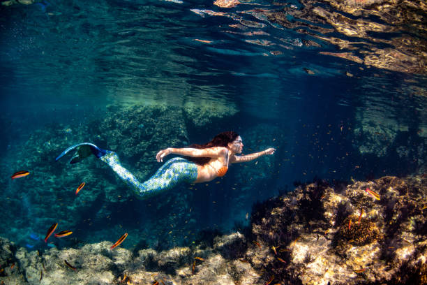 istock Mermaid swimming underwater in the deep blue sea 1003542654