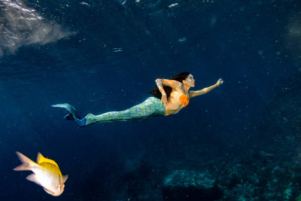 istock Mermaid swimming underwater in the deep blue sea 1003542720
