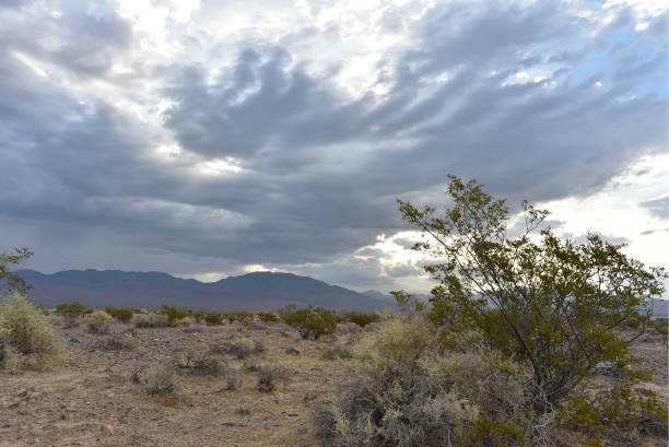 istock Mojave Desert valley mountain range landscape Pahrump, Nevada,USA 1003551658