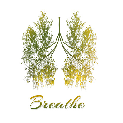 Breathe - Lung of trees in concept for health