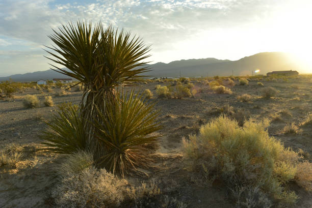 istock Mojave Desert valley mountain range landscape Pahrump, Nevada,USA 1003557202