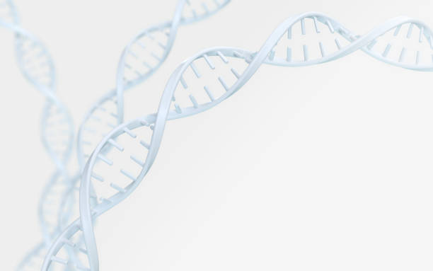 istock DNA helix of Genetic engineering and gene manipulation 1003561738