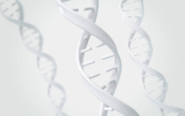 DNA helix of Genetic engineering and gene manipulation