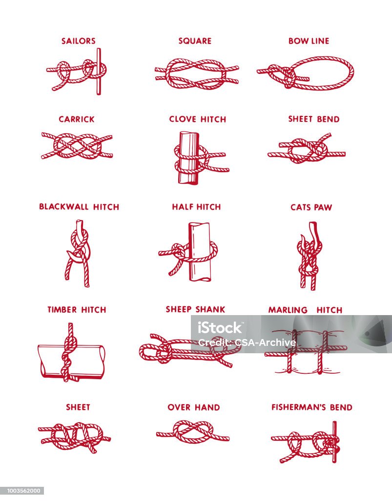 Assorted Knots Tied Knot stock vector