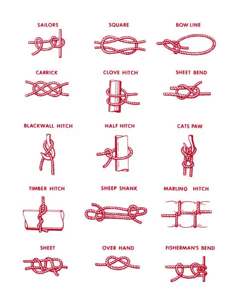 Vector illustration of Assorted Knots