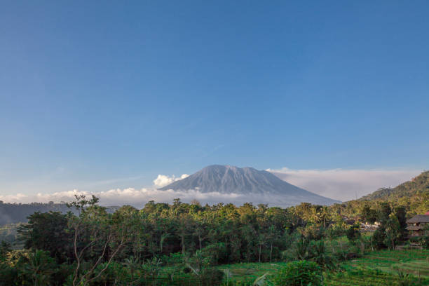 istock Rice terraces in mountains at sunrise, Bali Indonesia 1003565282