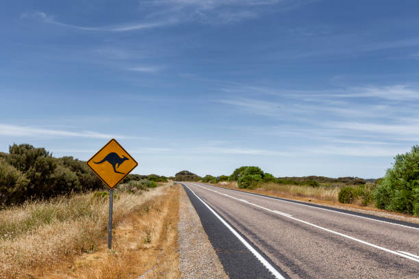 outback australia canguro icónica famosa autopista carretera signo - ghan pass fotografías e imágenes de stock