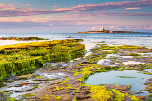 Coquet Island just of the coastline at Low Hauxley in Northumberland is an RSPB reserve