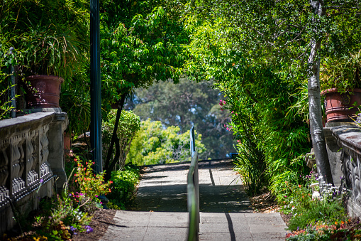 A sloping sidewalk surrounded by flowers and green trees vanishes atop a hill.
