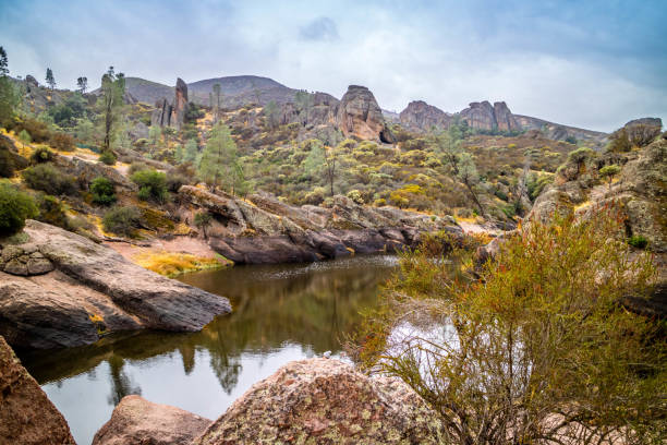 istock The Bear Gulch Reservoir in Pinnacles National Park 1003575582