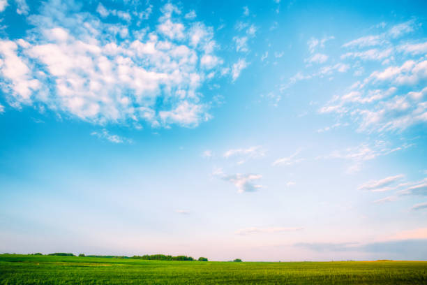 istock Field Landscape Under Scenic Spring Blue Dramatic Sky With White Fluffy Clouds. Skyline. Agricultural Landscape 1003578138