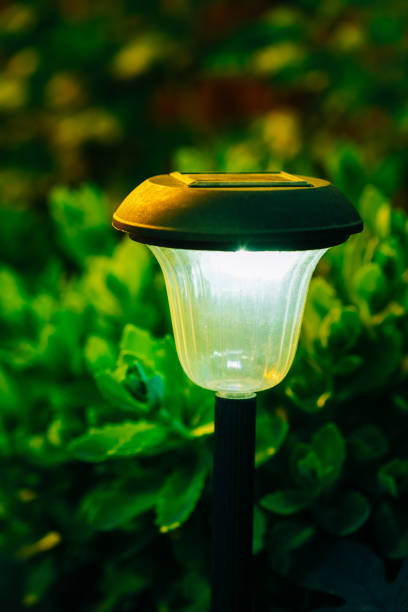 istock Decorative Small Solar Garden Light, Lanterns In Flower Bed. Solar Powered Lamp 1003578378