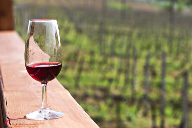 istock Glasses with wine. Red, pink, white wine in glasses. 1003578964