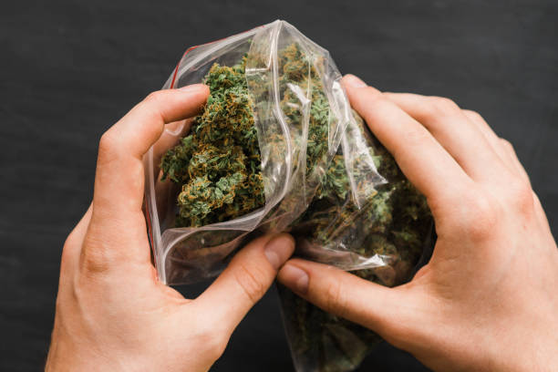istock Big Package with weed and fresh buds of cannabis many weed. 1003579738