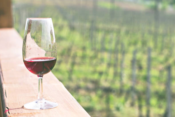 istock Glasses with wine. Red, pink, white wine in glasses. 1003583114
