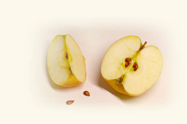 istock juicy and ripe apples and slices on a light background 1003587120