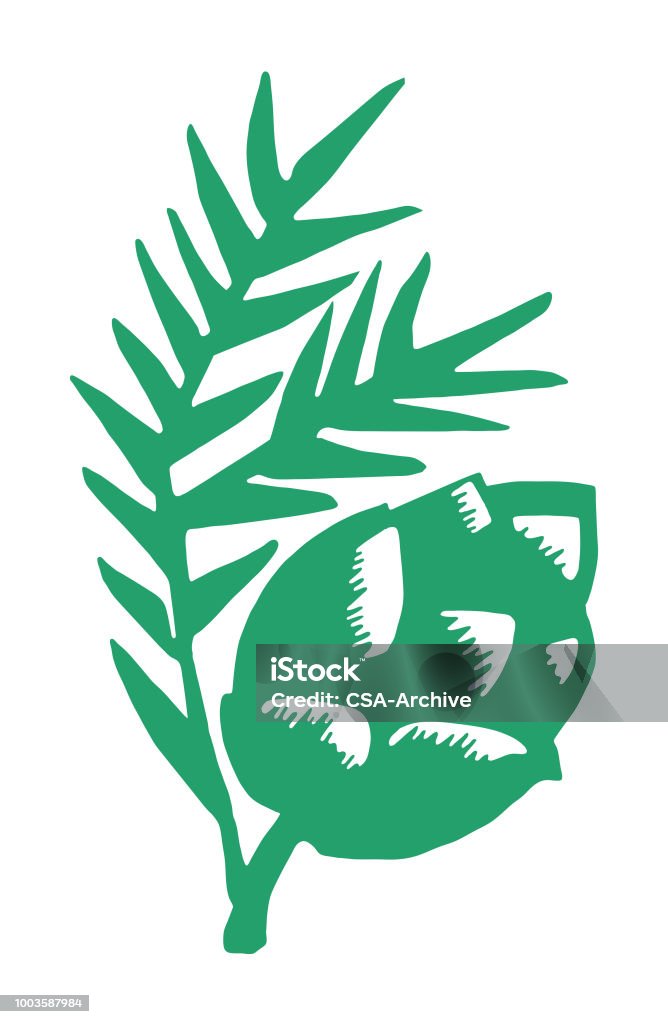 Pine Cone and Branch Pine Cone stock vector