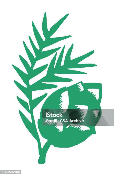 Pine Cone And Branch Stock Illustration - Download Image Now - Pine Cone, Icon Symbol, Evergreen Tree