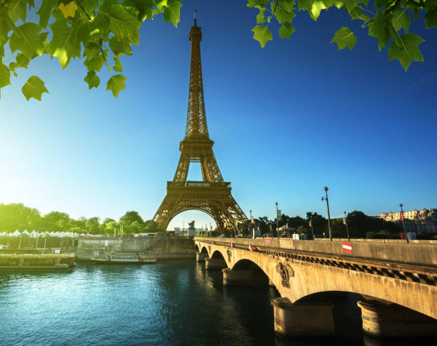 istock Eiffel tower, Paris. France 1003588128