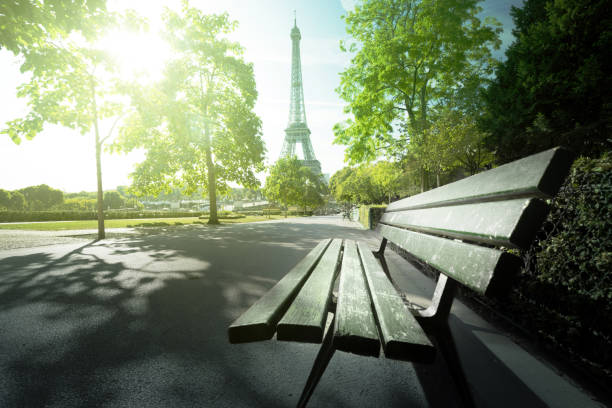 istock bench in park near Eiffel tower, Paris 1003588142