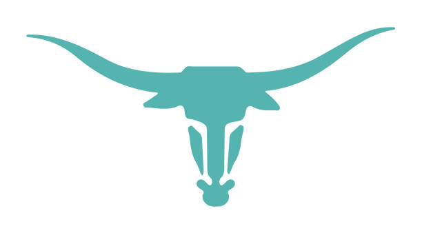 illustrazioni stock, clip art, cartoni animati e icone di tendenza di guidare - texas longhorn cattle horned cattle farm