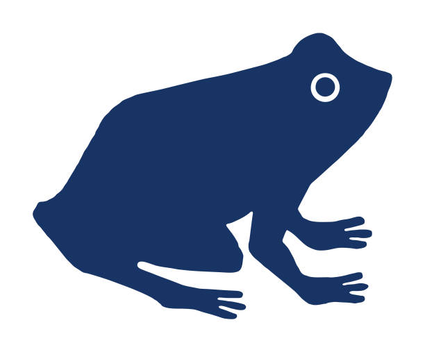 лягушка - лягушка stock illustrations