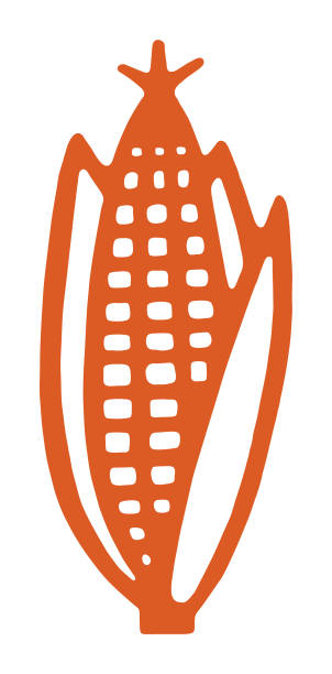 ilustraciones, imágenes clip art, dibujos animados e iconos de stock de mazorca de maíz  - corn corn crop corn on the cob food