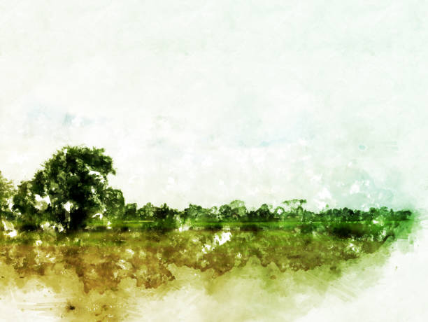 istock Abstract tree and field landscape on watercolor painting background. 1003594222