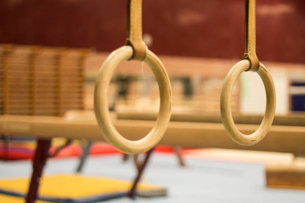 istock Gymnastic equipment in a gymnastic center 1003594298