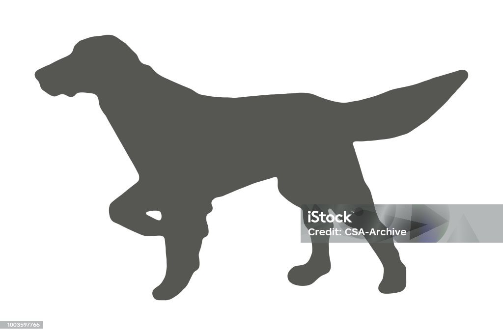 Pointer Dog Silhouette Hunting - Sport stock vector