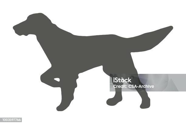 Pointer Dog Silhouette Stock Illustration - Download Image Now - Hunting - Sport, Logo, Dog