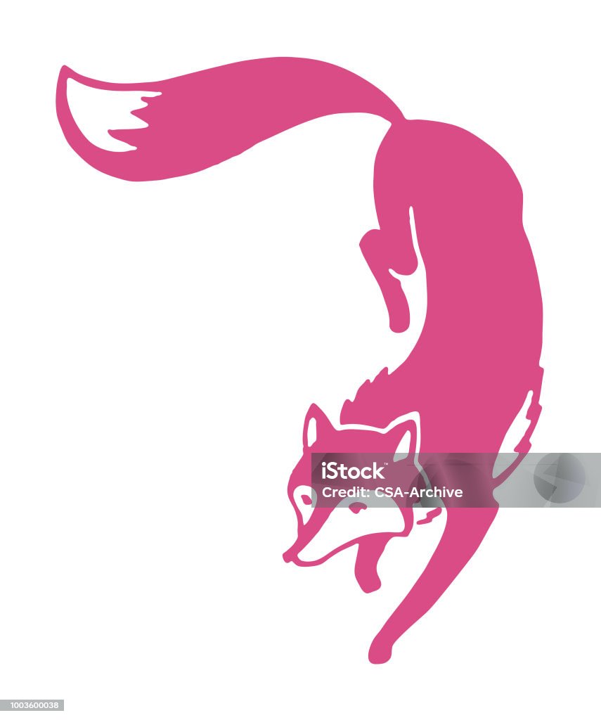 Fox Fox stock vector