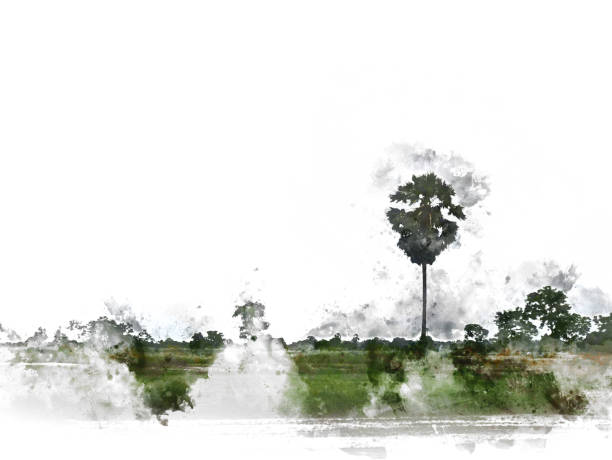 istock Abstract tree and field landscape on watercolor painting background. 1003603488