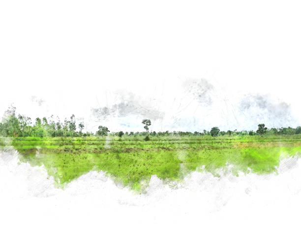 istock Abstract tree and field landscape on watercolor painting background. 1003603894