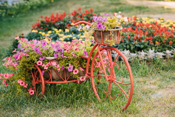 istock Decorative Vintage Model Old Bicycle Equipped Basket Flowers Garden 1003610030