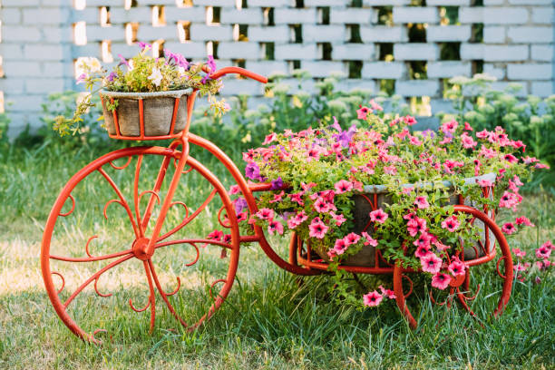 istock Decorative Vintage Model Old Bicycle Equipped Basket Flowers Garden 1003610150