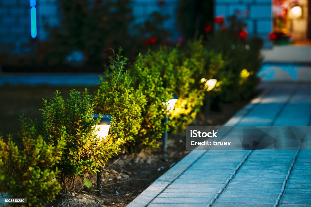 Night View Of Flowerbed With Flowers Illuminated By Energy-Saving Solar Powered Lanterns Along Path Causeway On Courtyard Going To The House Illuminated Stock Photo