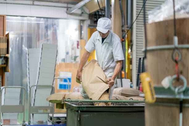 trabajador en una fábrica de procesamiento de alimentos - arroz grano fotos fotografías e imágenes de stock