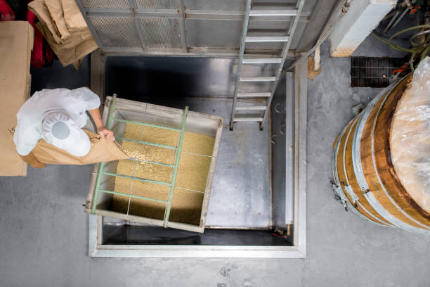 istock Aerial view of a worker in a food processing factory 1003610682