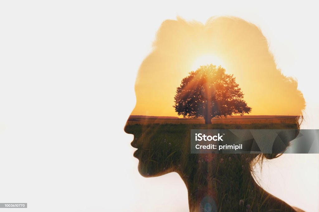 Personal development and business idea career concept. Contemplation Stock Photo