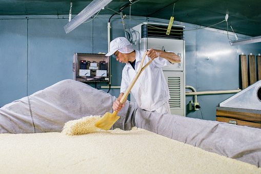Worker in a food processing factory. Okayama, Japan.