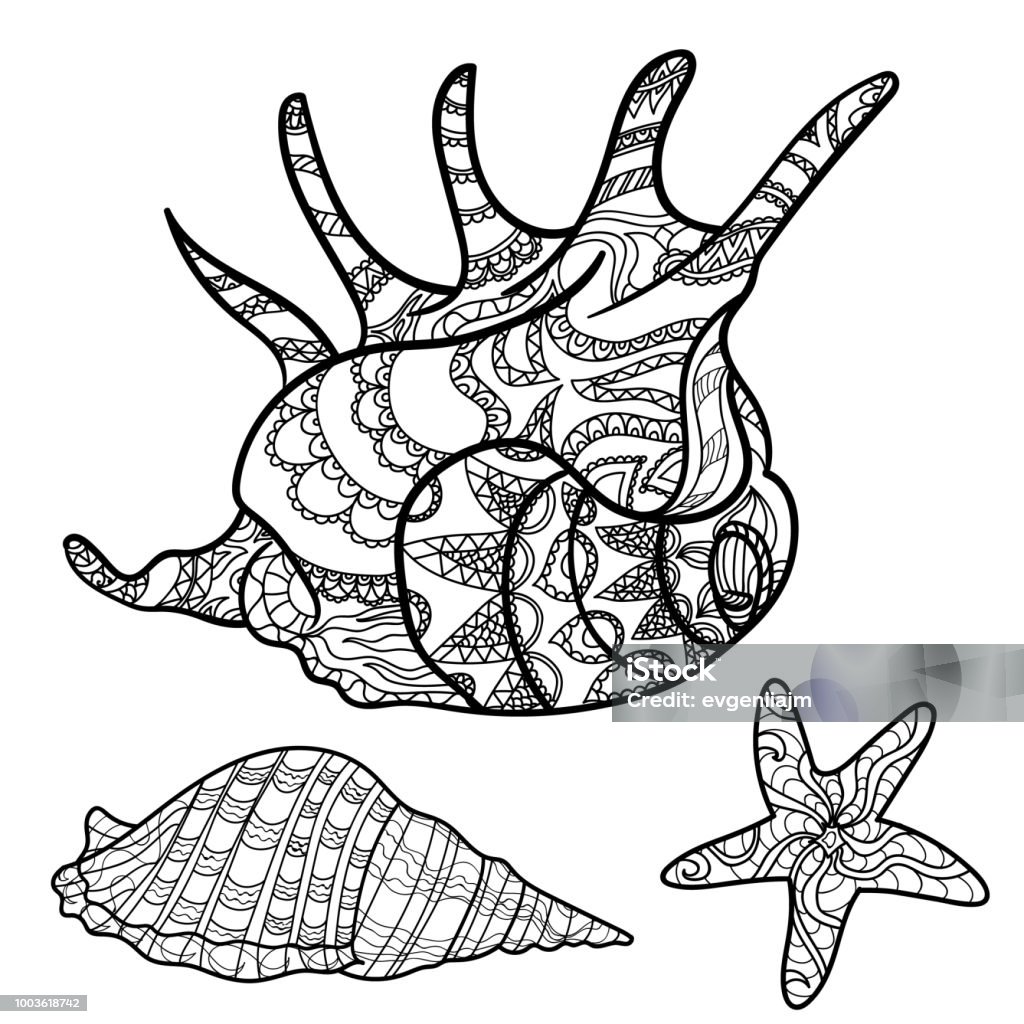 Shell Pattern Coloring Seashells Shell Pattern Shell Set Coloring Book Page Vector Stock ...