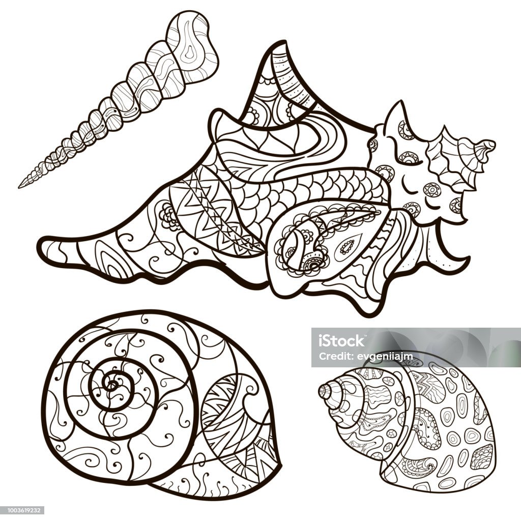 Seashells Shell Pattern Shell Set Coloring Book Page Vector Stock ...