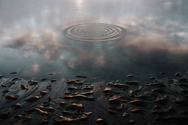 istock Quiet waters in Stokksnes, Iceland 1003622092